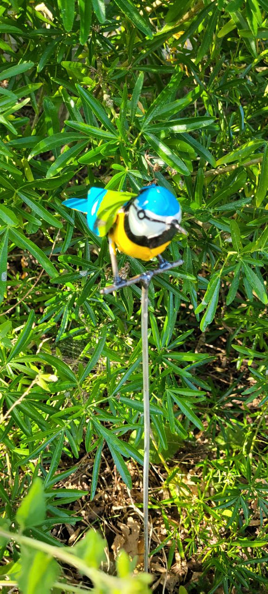 Blue Tit on Rod