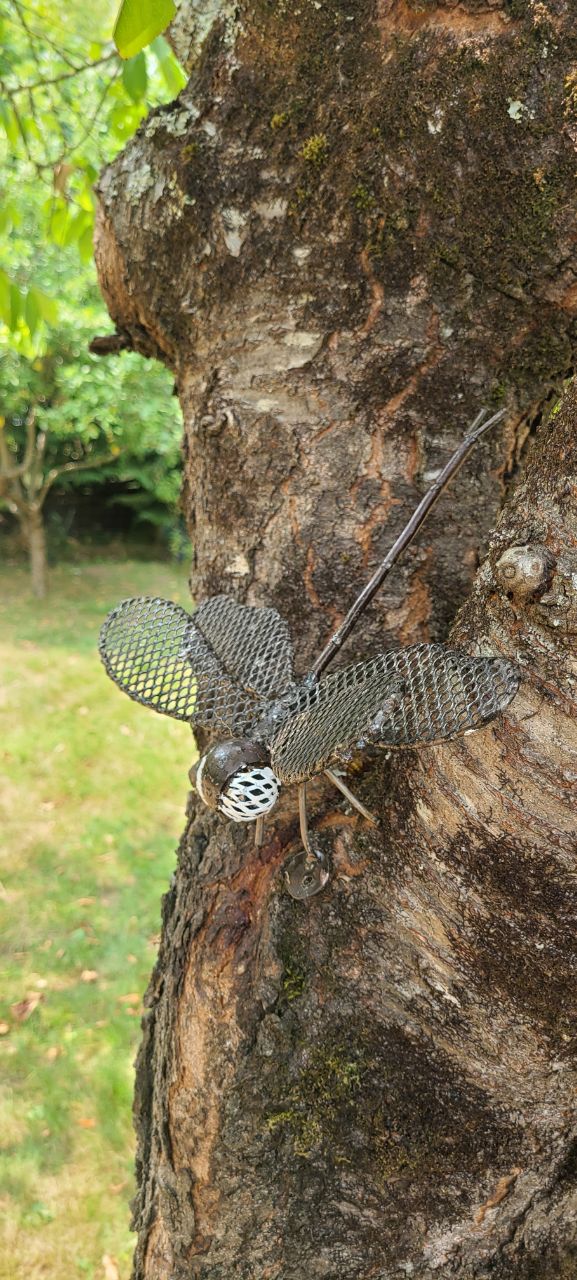 Handmade Mesh Dragonfly