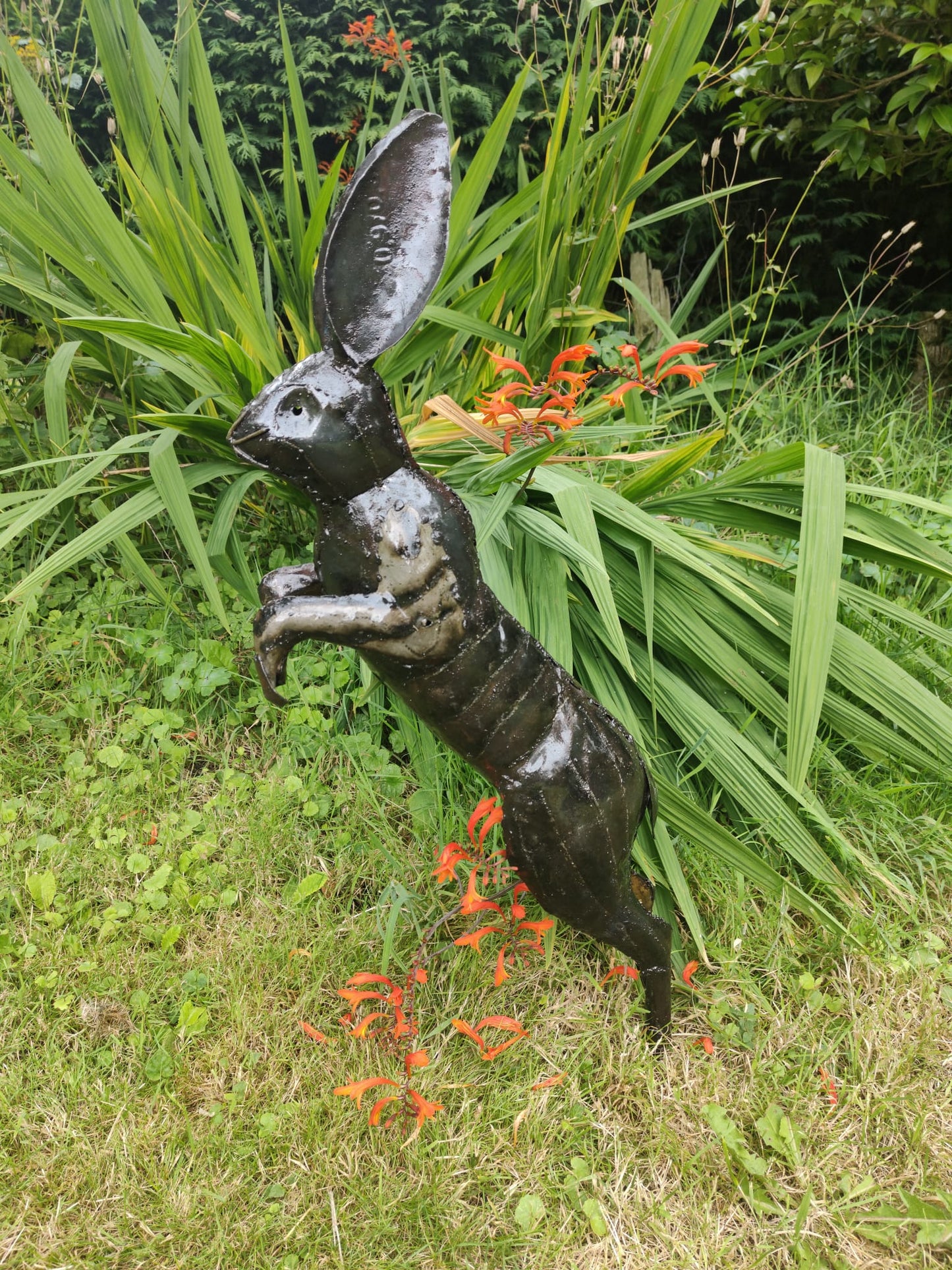 Leaping Hare