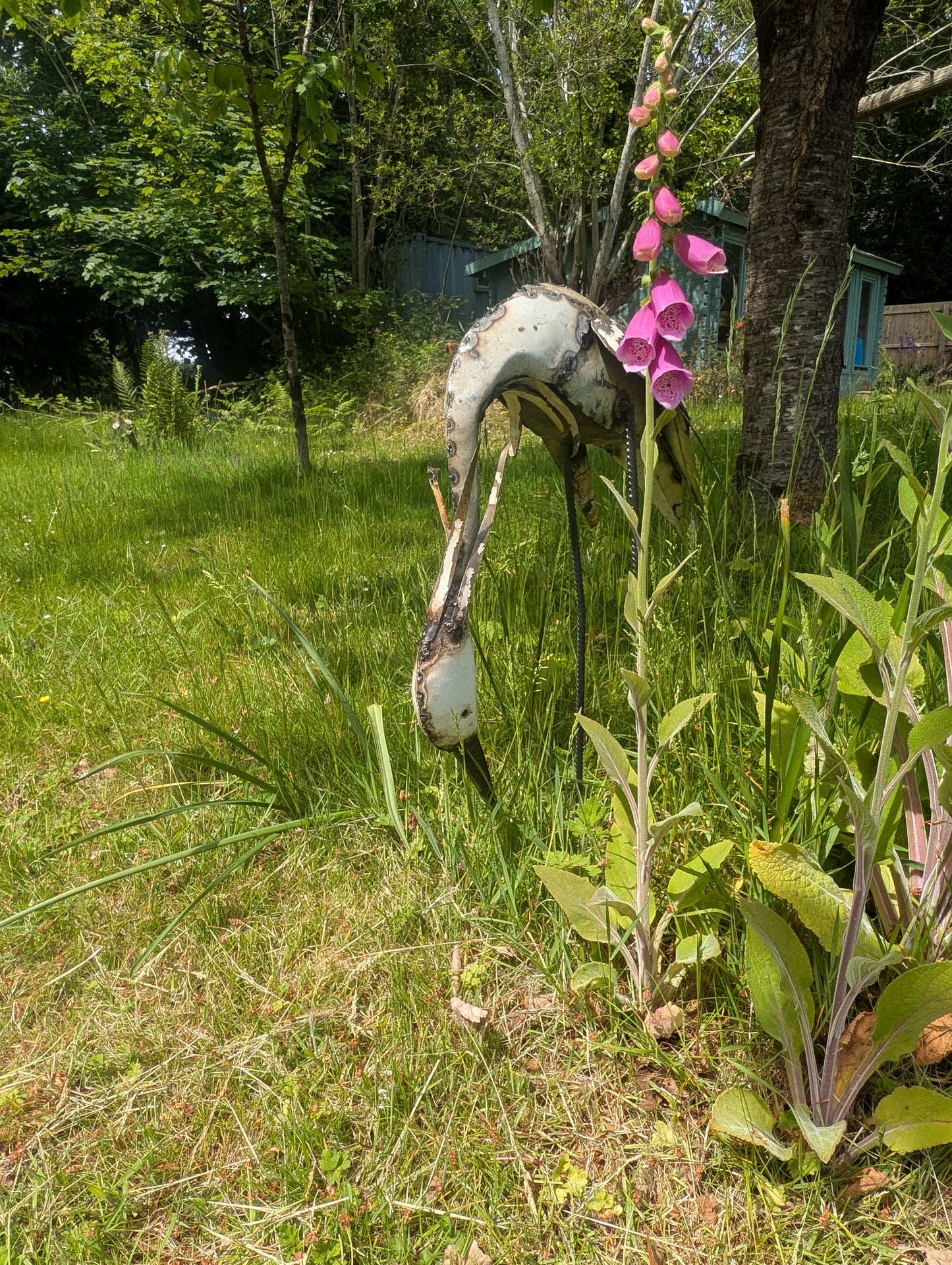 Heron Drinking