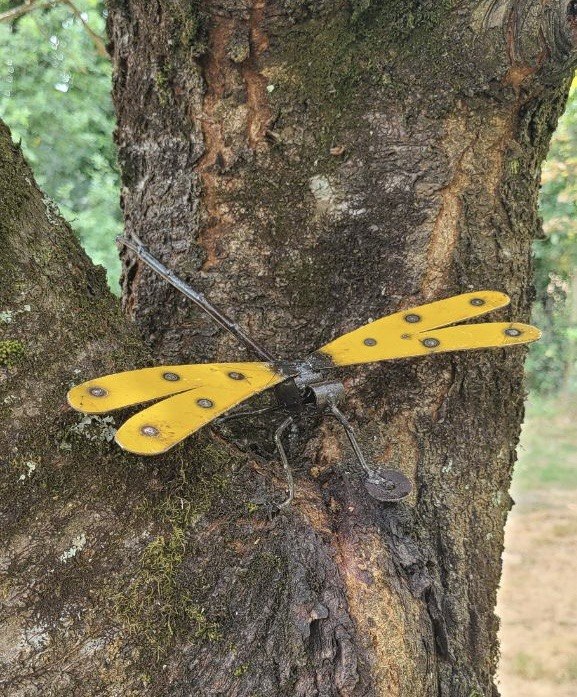 Handmade Dragonfly - 5 Colour options
