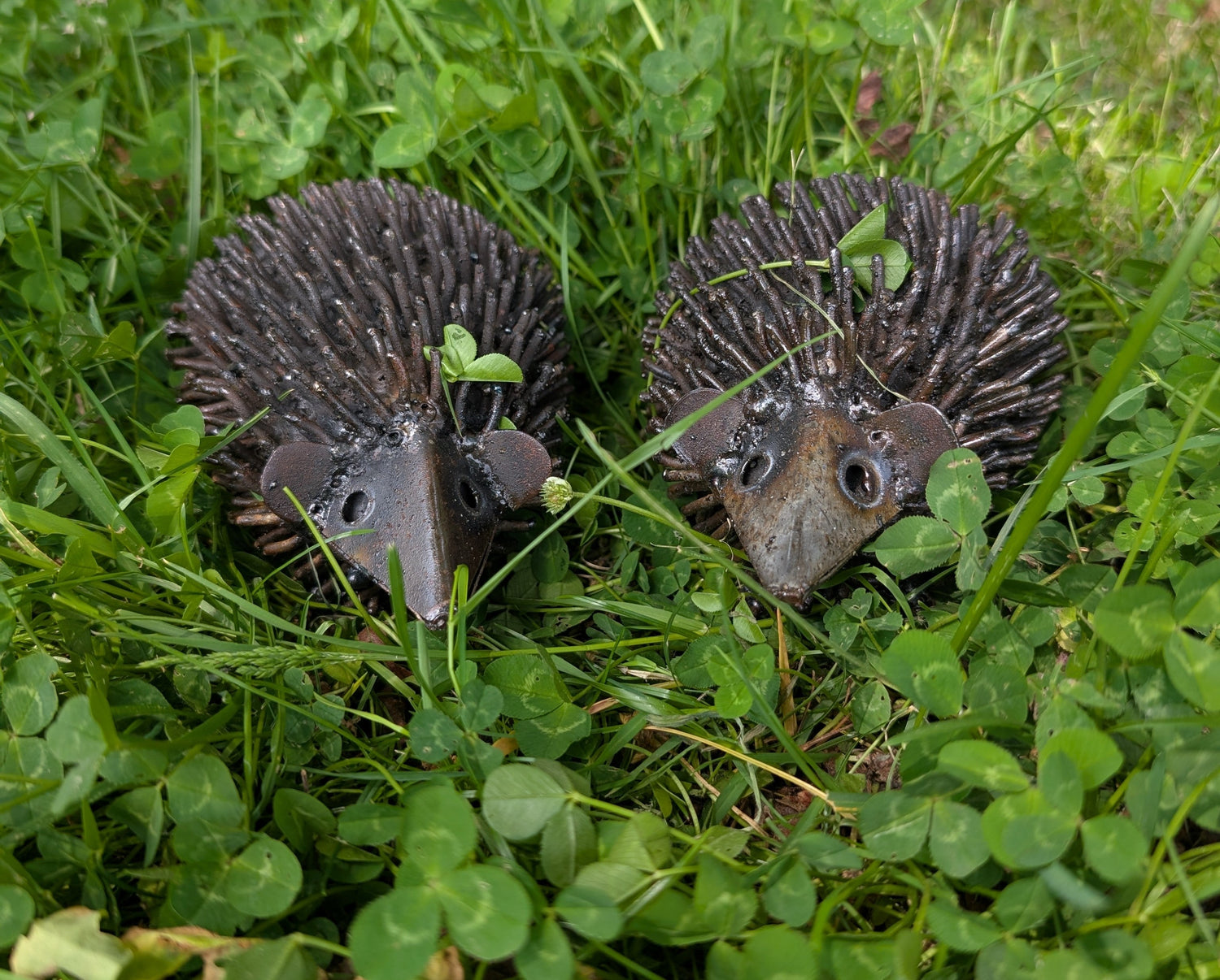 Gifts for Garden Lovers