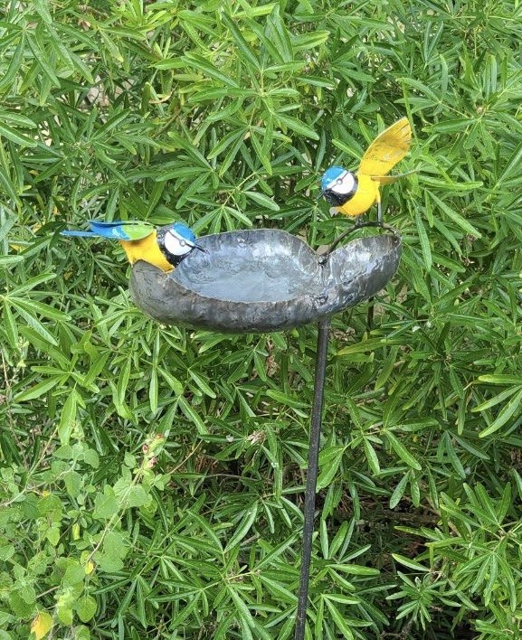 Blue Tit Leaf Bird Bath/ Feeder