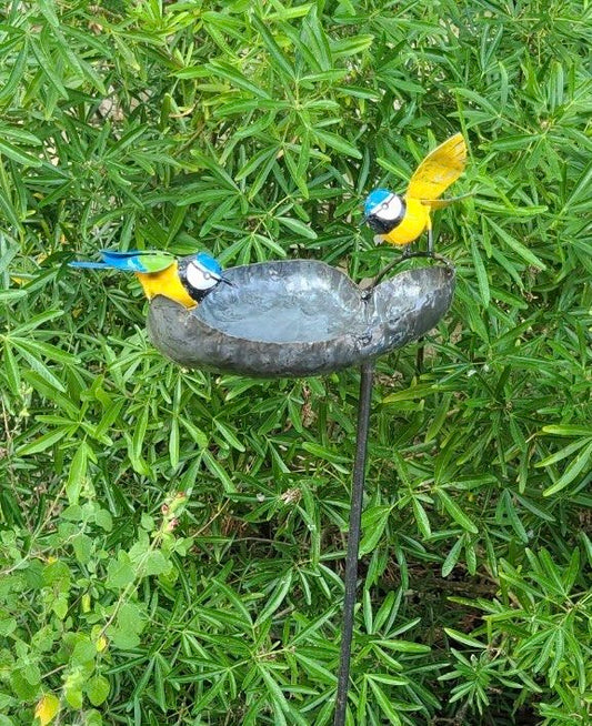 Blue Tit Leaf Bird Bath/ Feeder