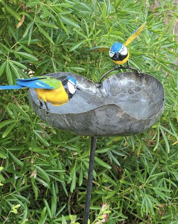 Blue Tit Leaf Bird Bath/ Feeder