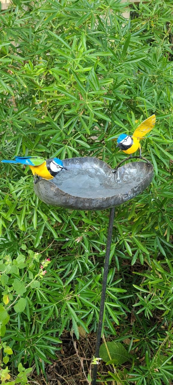 Blue Tit Leaf Bird Bath/ Feeder
