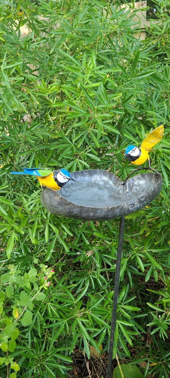 Blue Tit Leaf Bird Bath/ Feeder