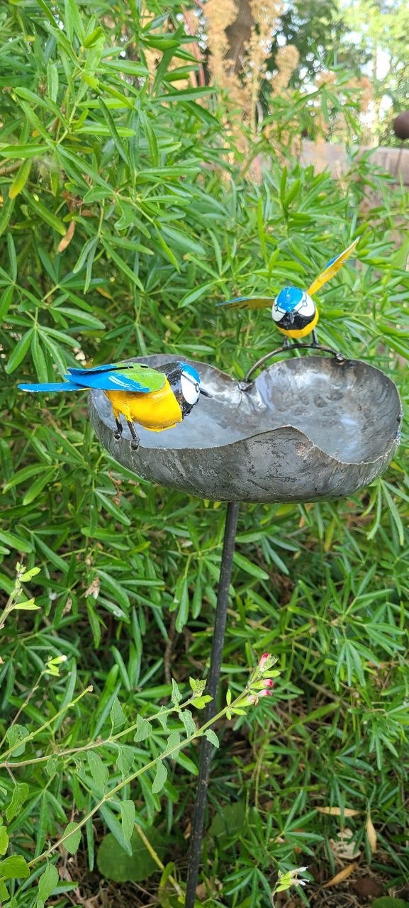 Blue Tit Leaf Bird Bath/ Feeder
