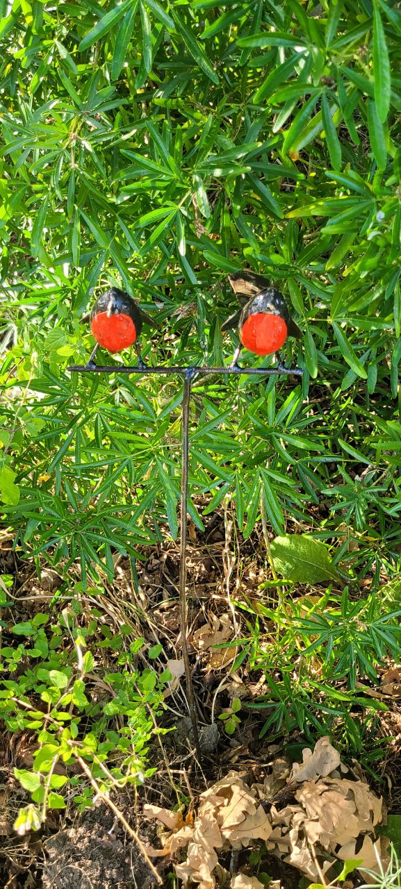 2 Robins perched on rod