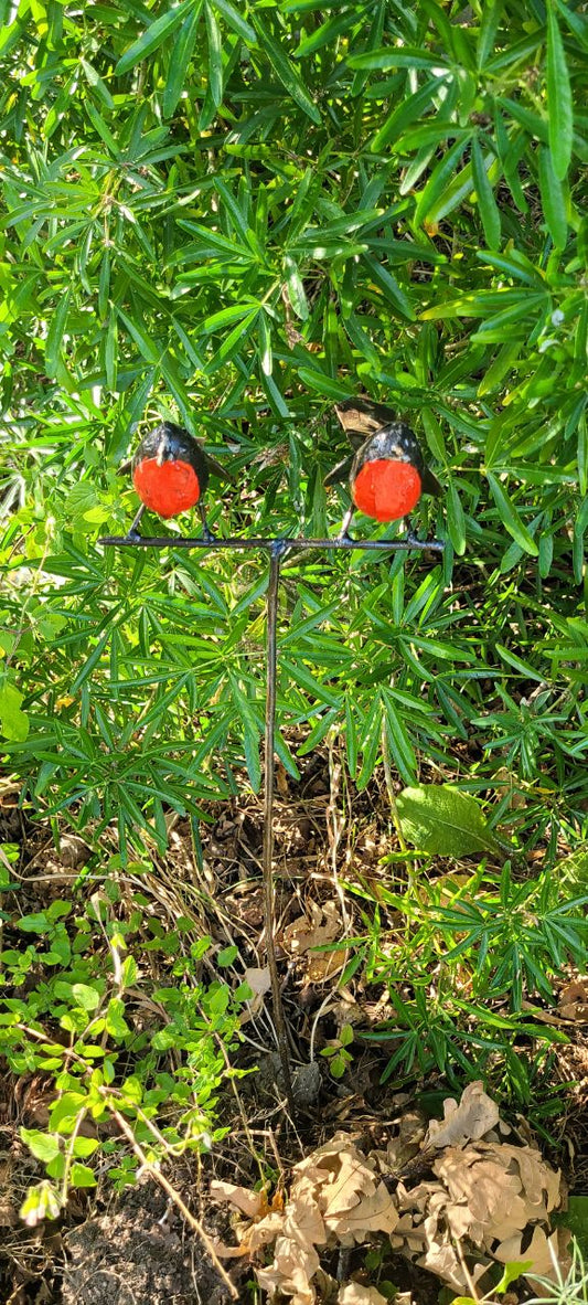2 Robins perched on rod