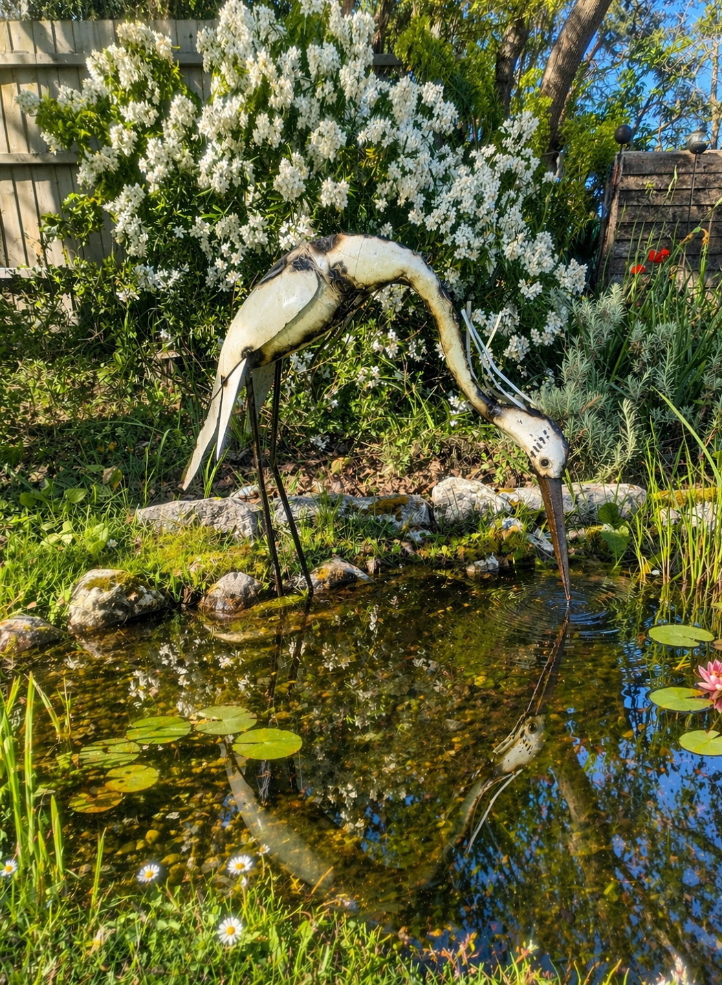 Heron Drinking