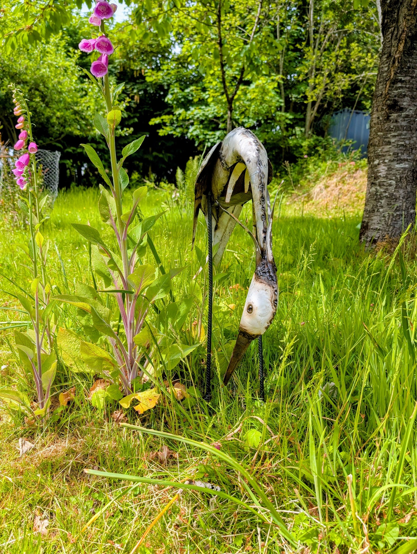Heron Drinking
