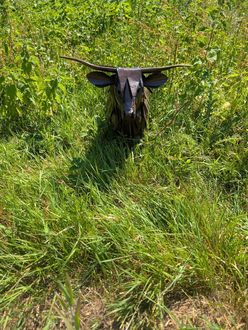 Brown Highland Cattle Sculpture