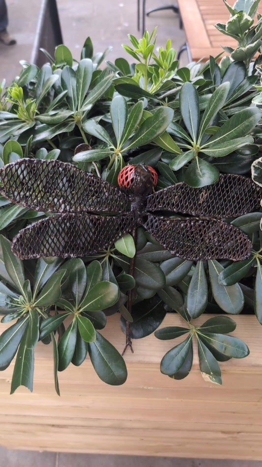 Handmade Mesh Dragonfly