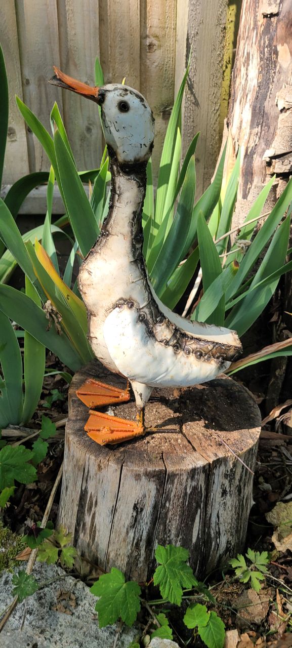 Running Duck