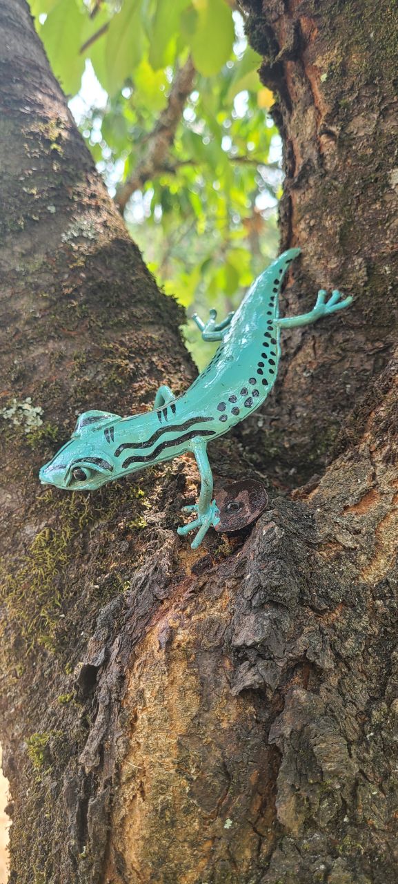 Green Salamander