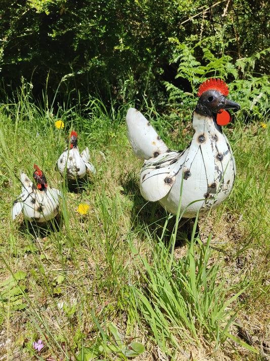 Chicken/ Cockrel (Large)