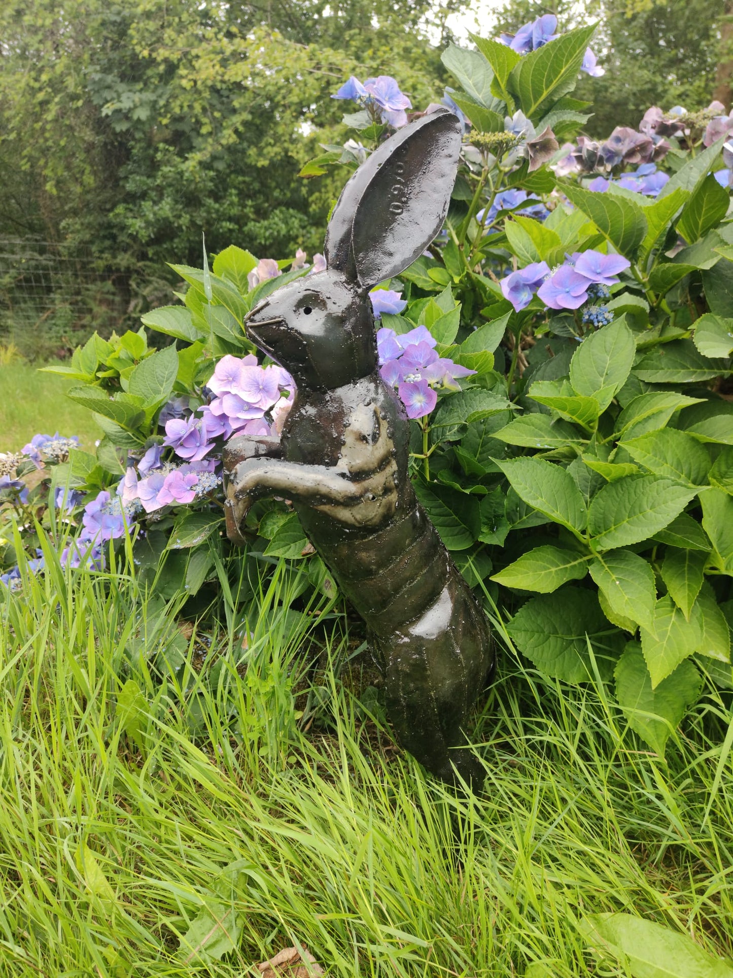 Leaping Hare