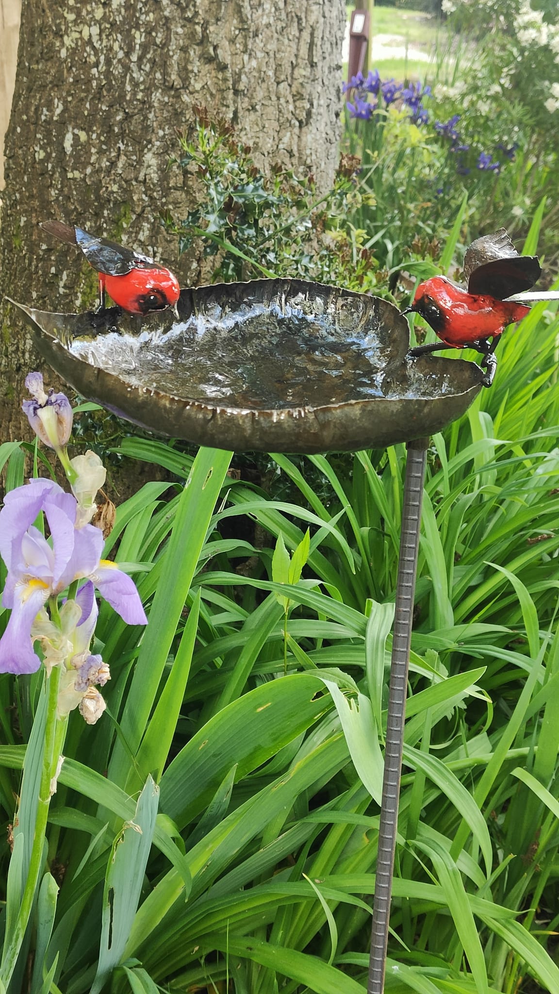Leaf Bird Bath/ Feeder