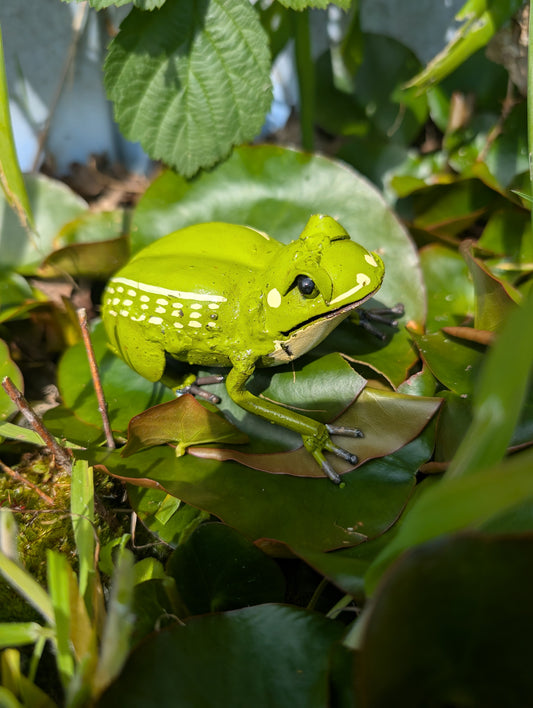 Beautiful Little Handmade Frog
