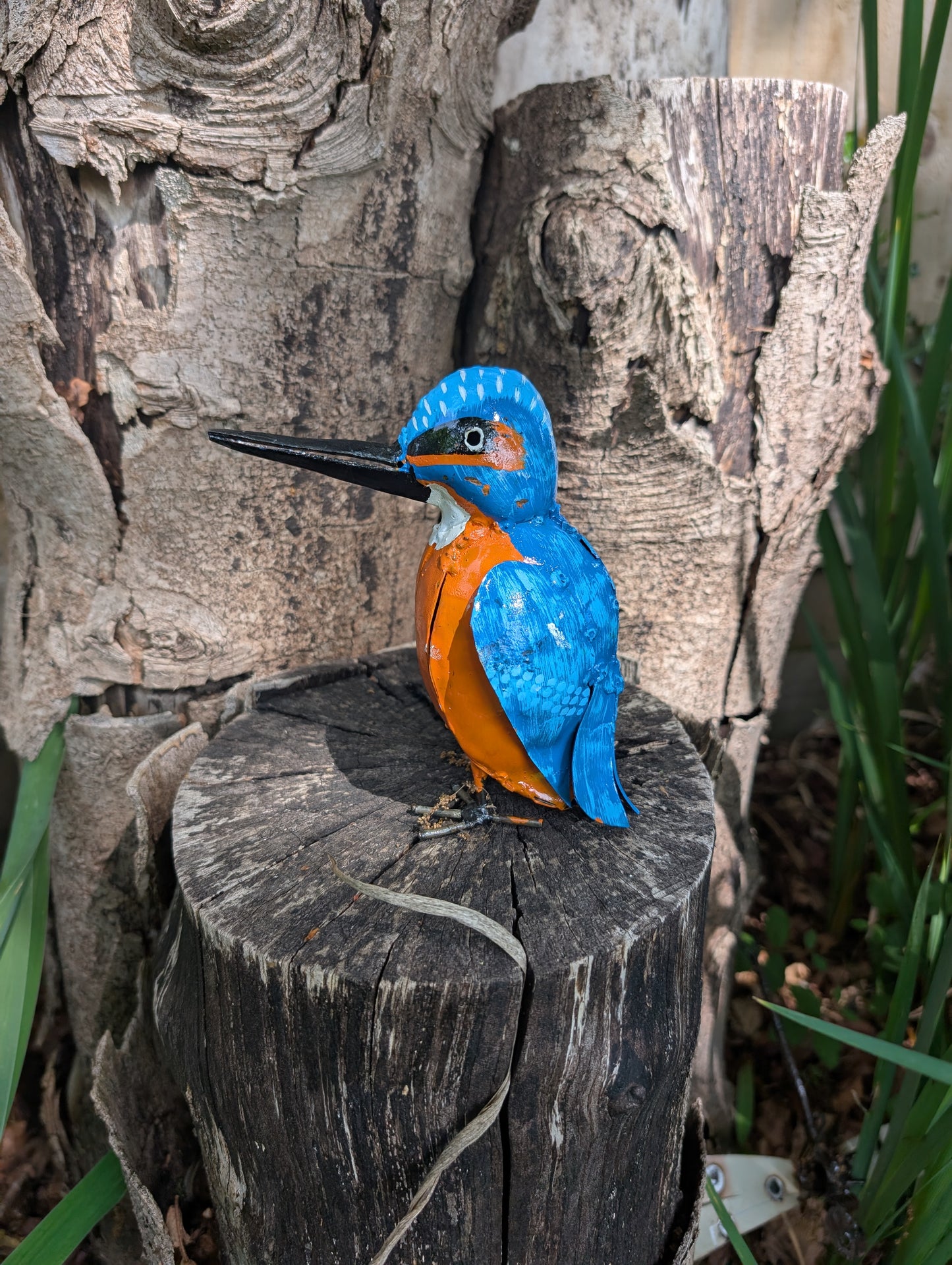 Kingfisher