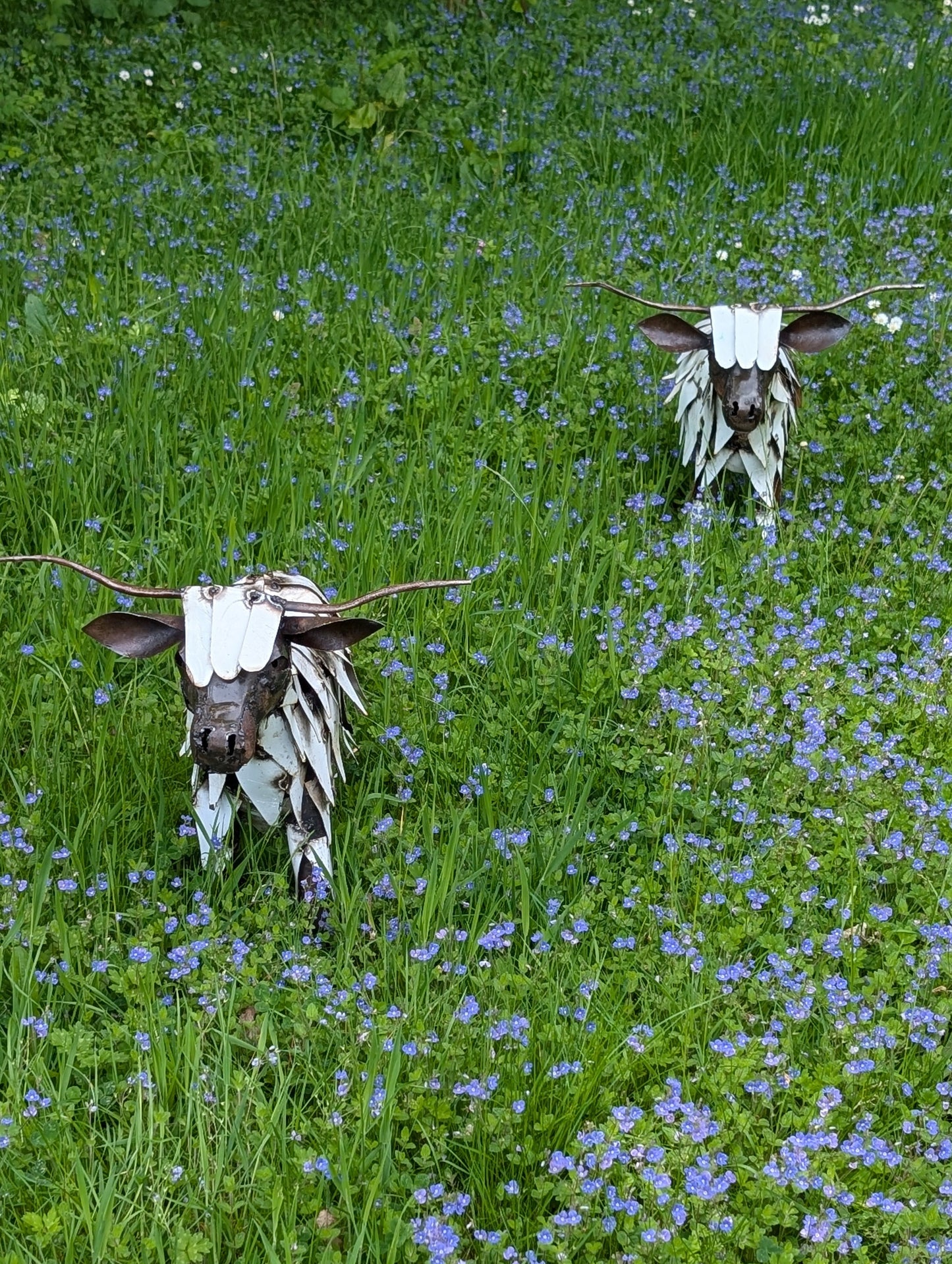 Highland Cattle Sculpture