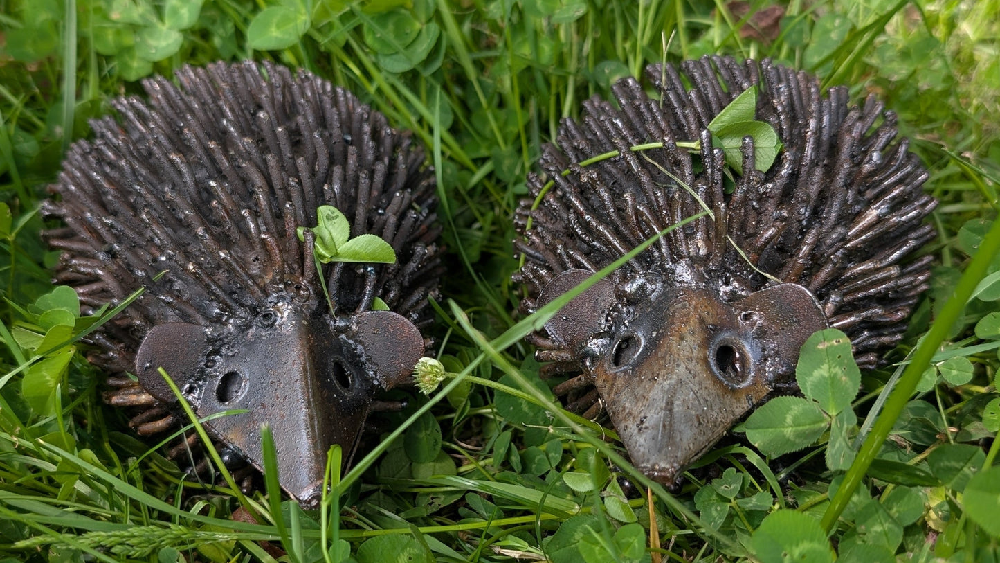 Single Handmade Hedgehog