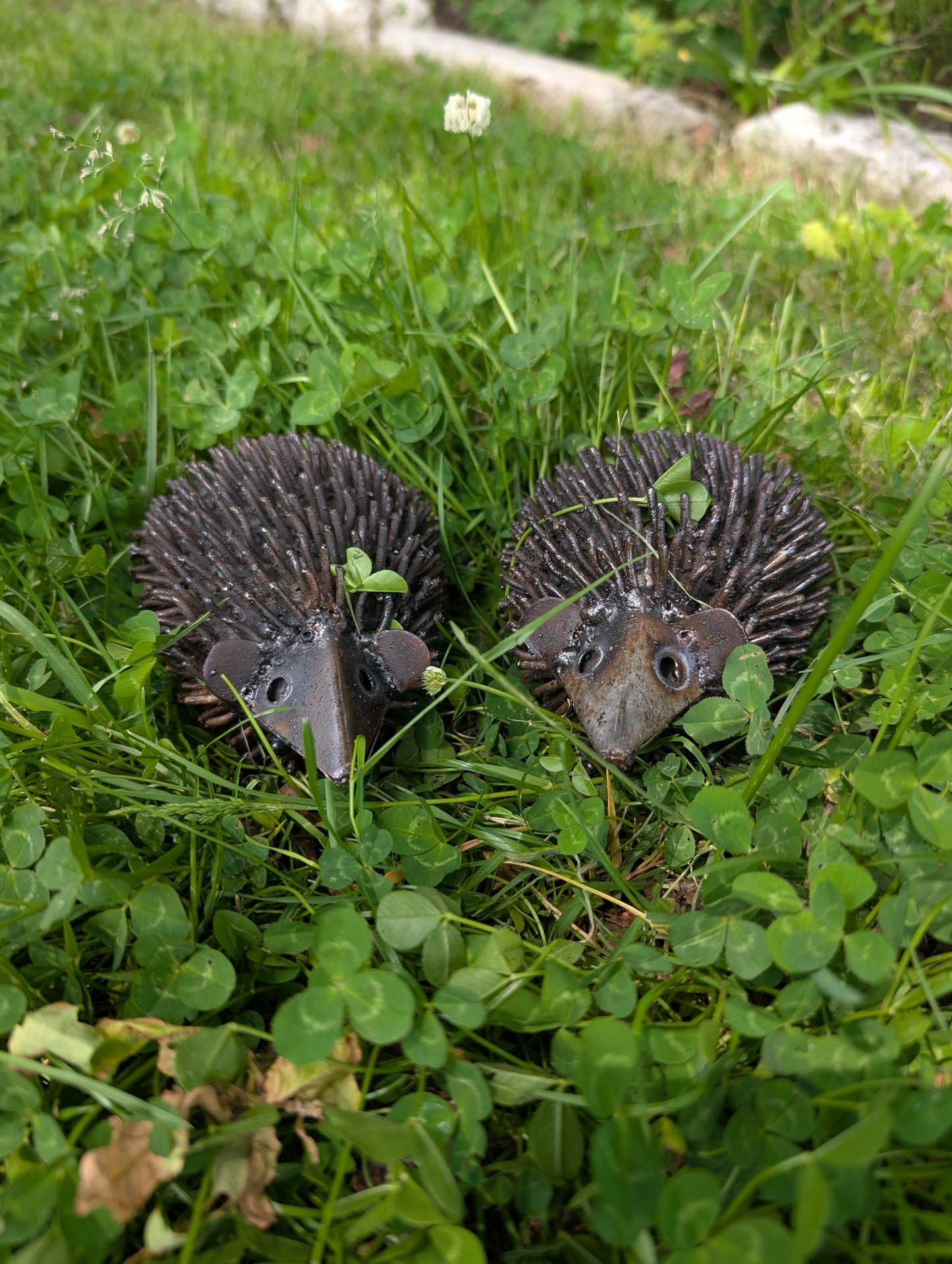 Single Handmade Hedgehog