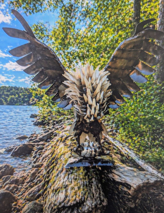 Osprey