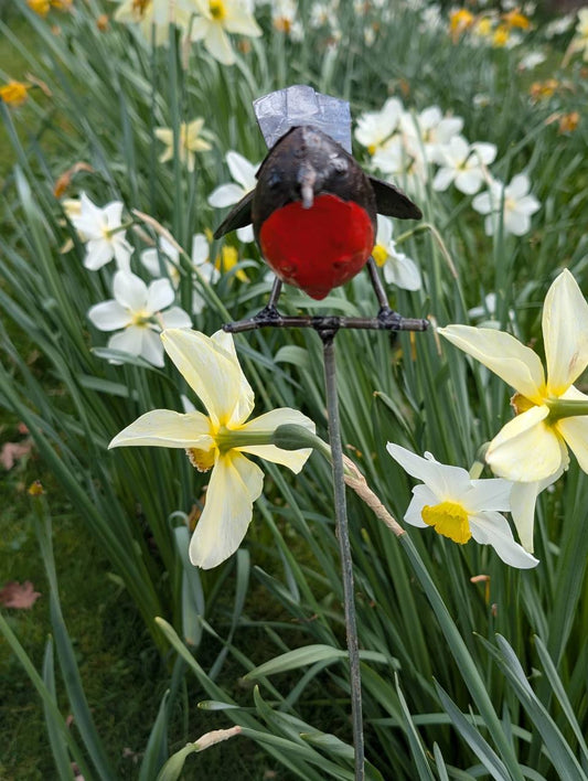 SIngle Robin on rod