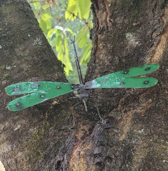 Handmade Dragonfly - 5 Colour options