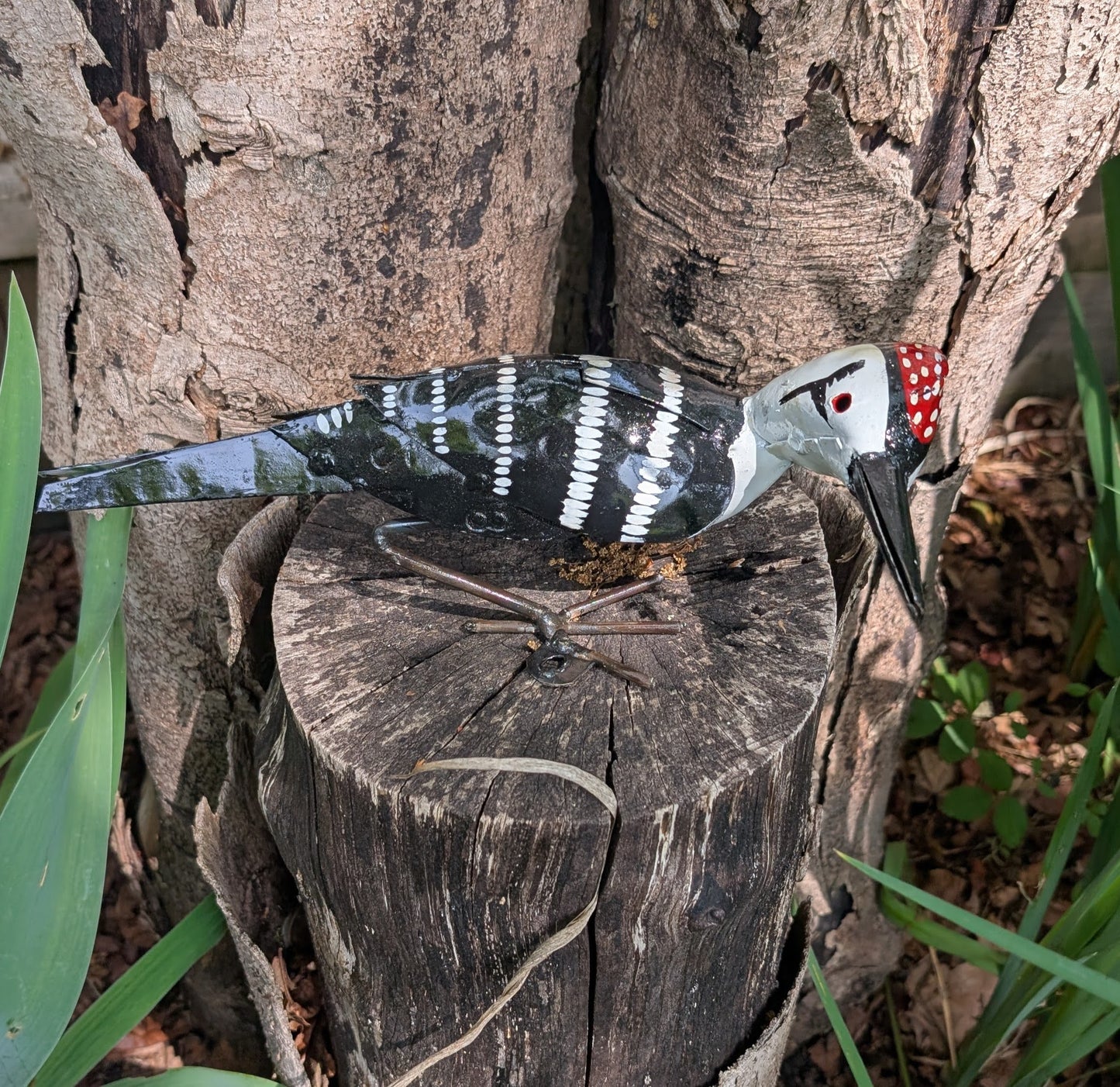 Lesser Spotted Woodpecker