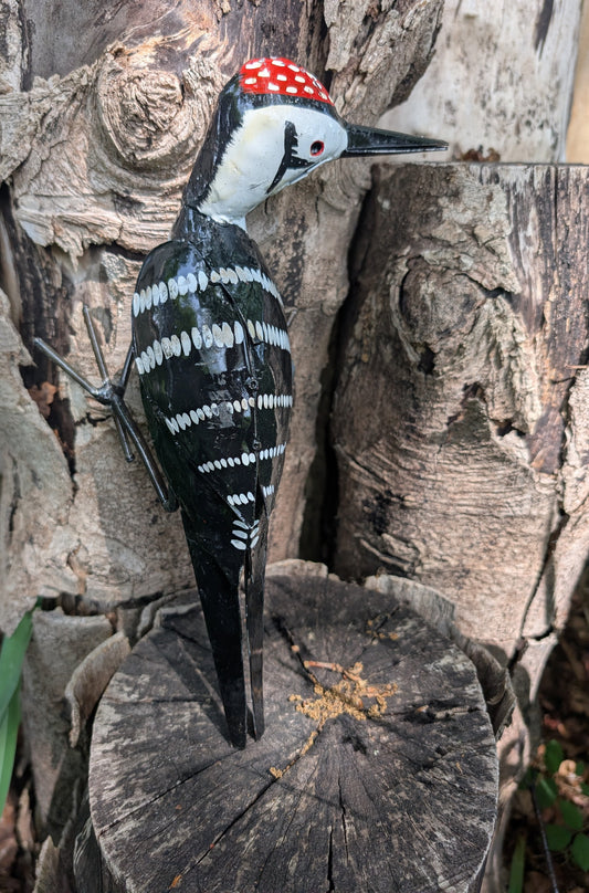 Lesser Spotted Woodpecker