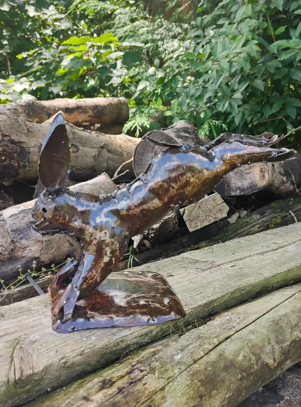 Hare Platform (Medium)