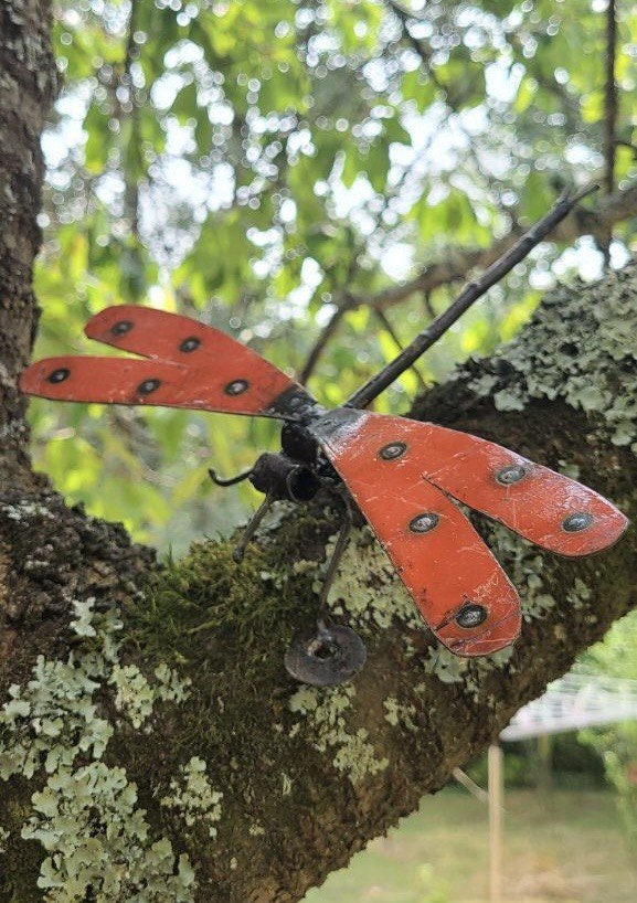 Handmade Dragonfly - 5 Colour options